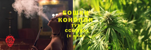 шишки Белокуриха