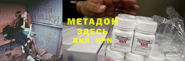 шишки Белокуриха
