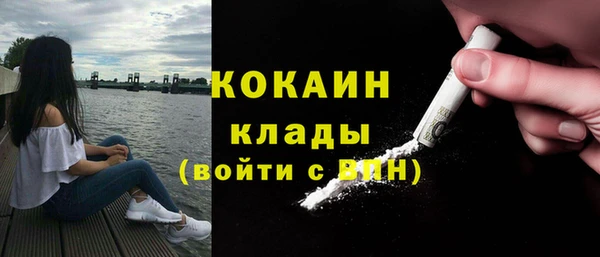 шишки Белокуриха