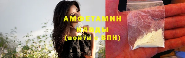 индика Белоозёрский