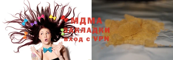шишки Белокуриха