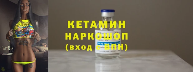 шишки Белокуриха