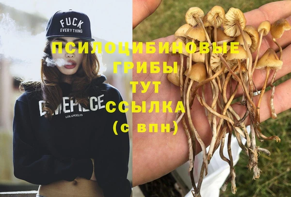 индика Белоозёрский