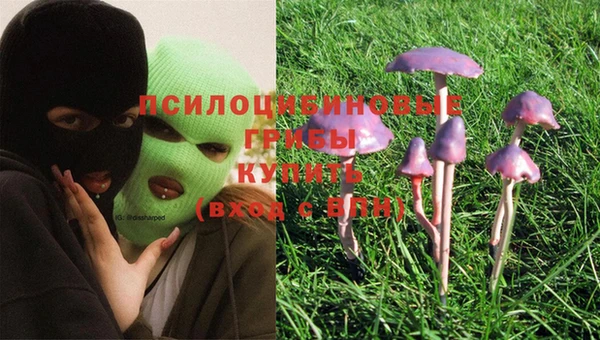 индика Белоозёрский