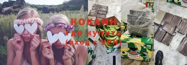 шишки Белокуриха