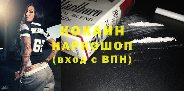 шишки Белокуриха