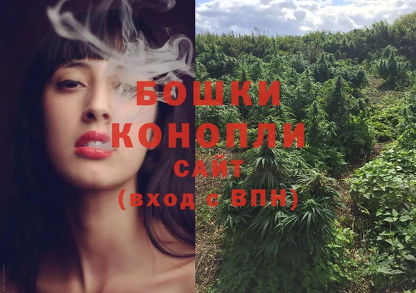 индика Белоозёрский