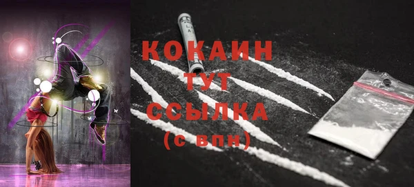 шишки Белокуриха